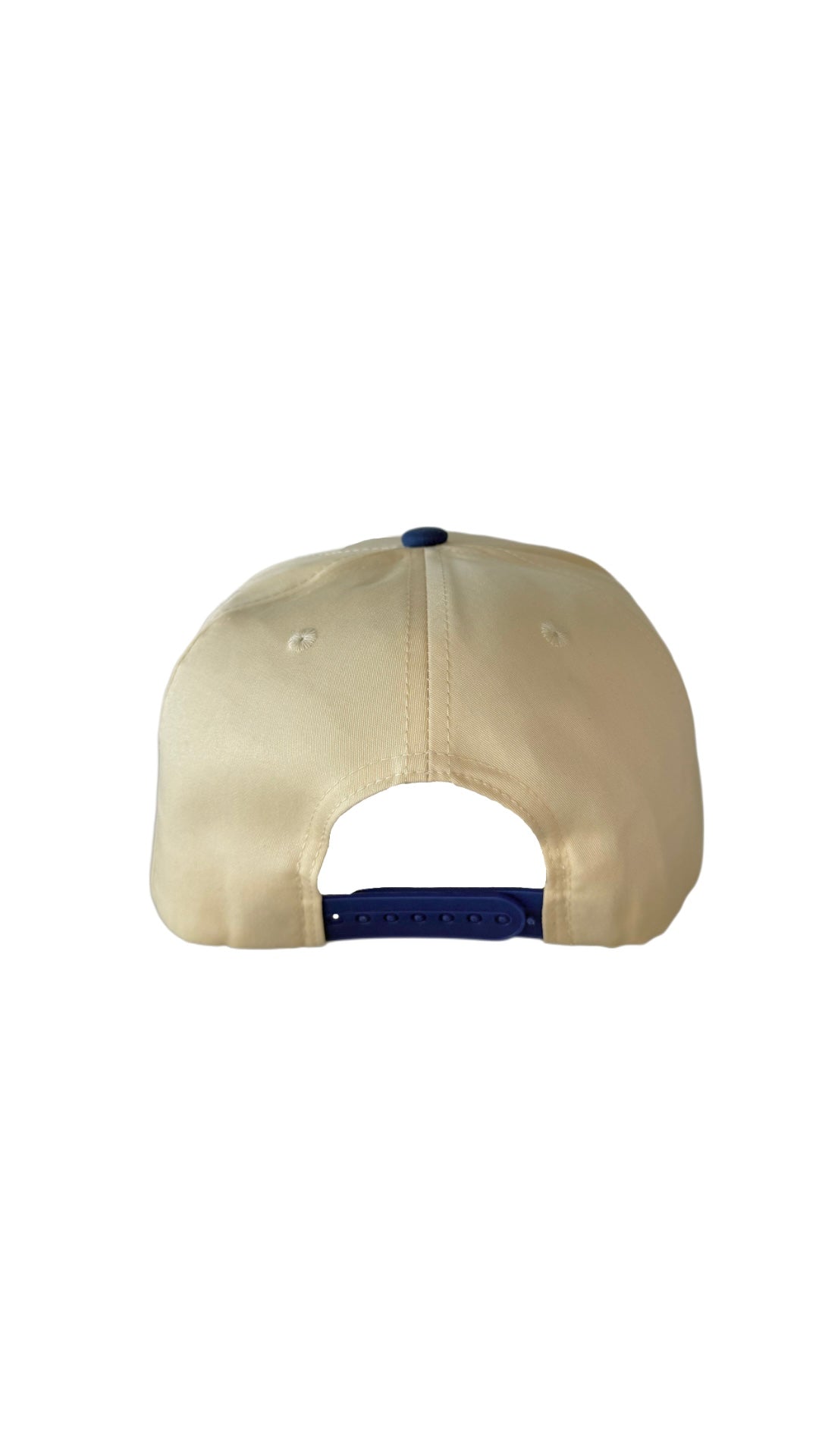 Dog Dad Hat - Blue