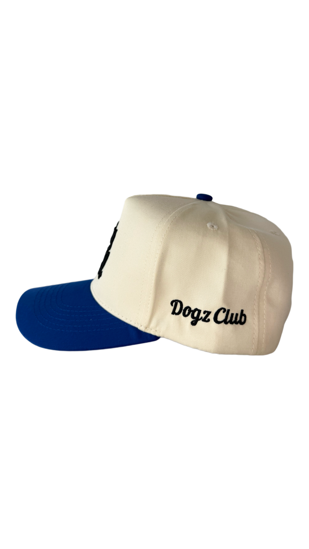 Dog Dad Hat - Blue