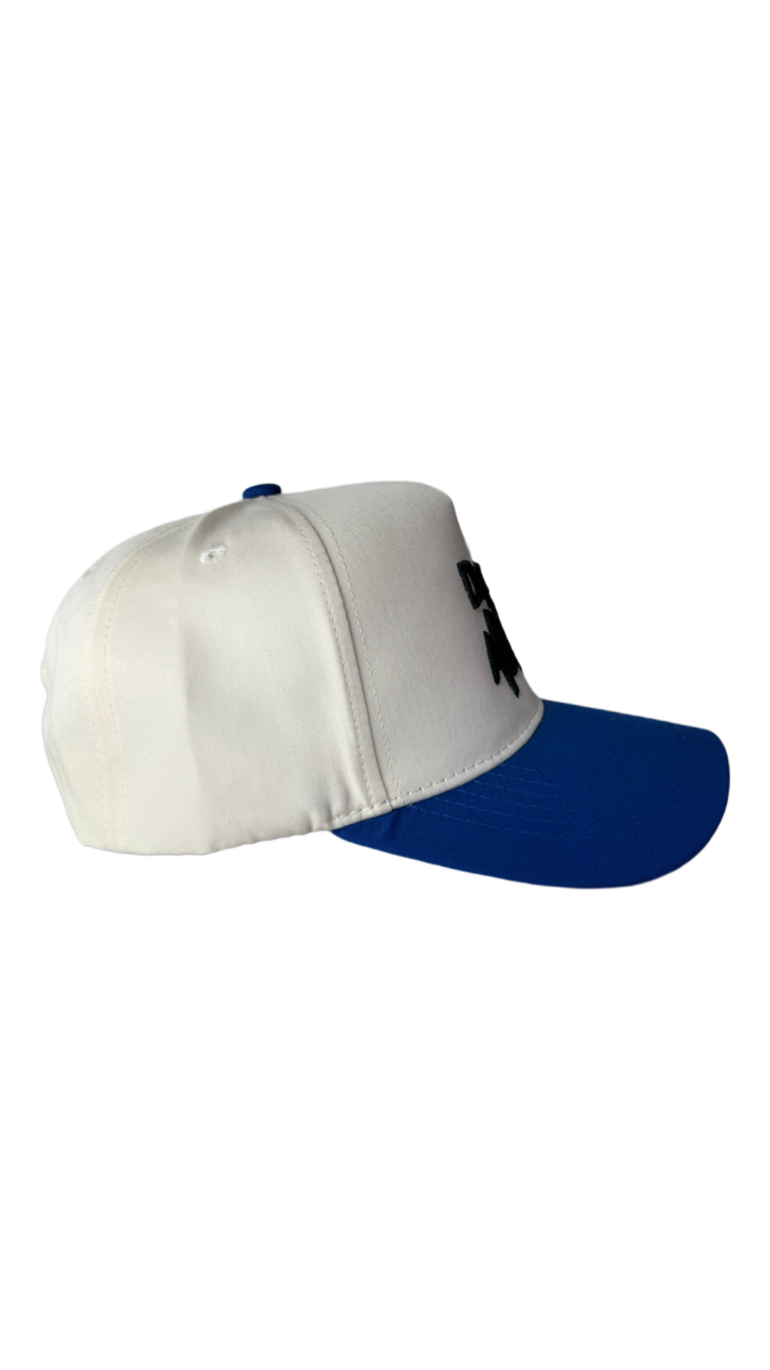 Dog Mom Hat - Blue