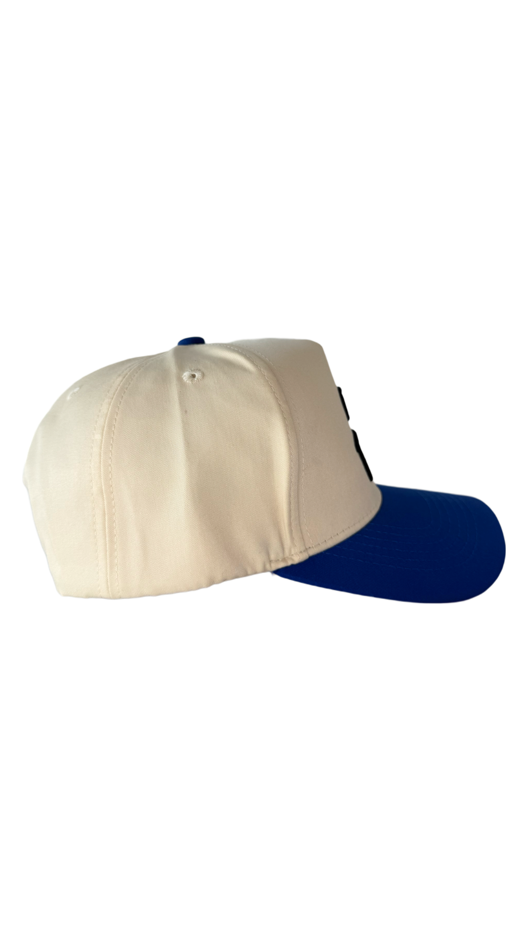 Dog Dad Hat - Blue