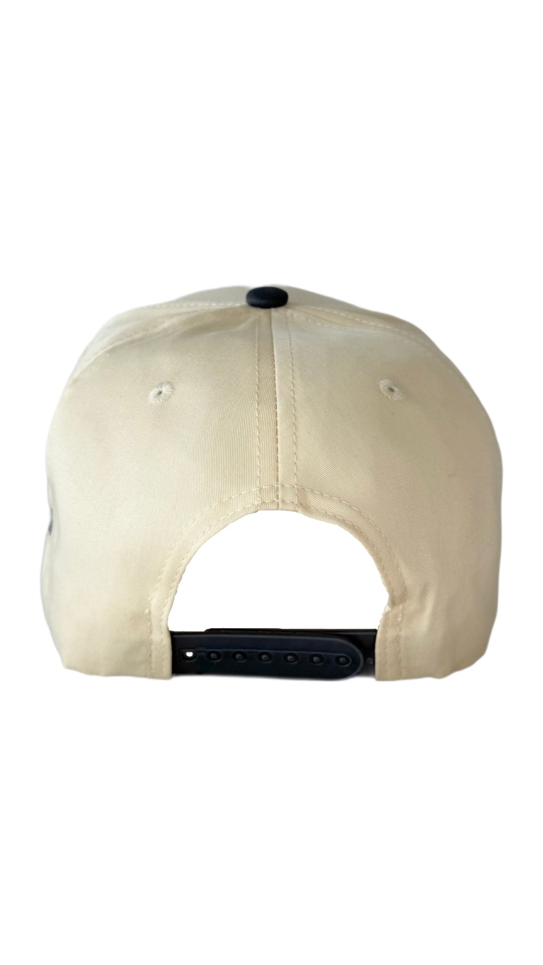 Dog Dad Hat - Gray