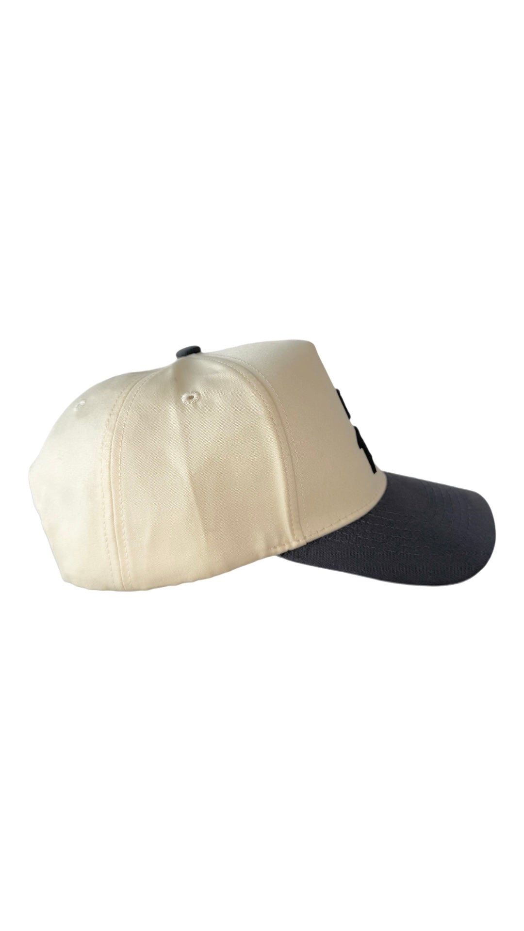 Dog Dad Hat - Gray