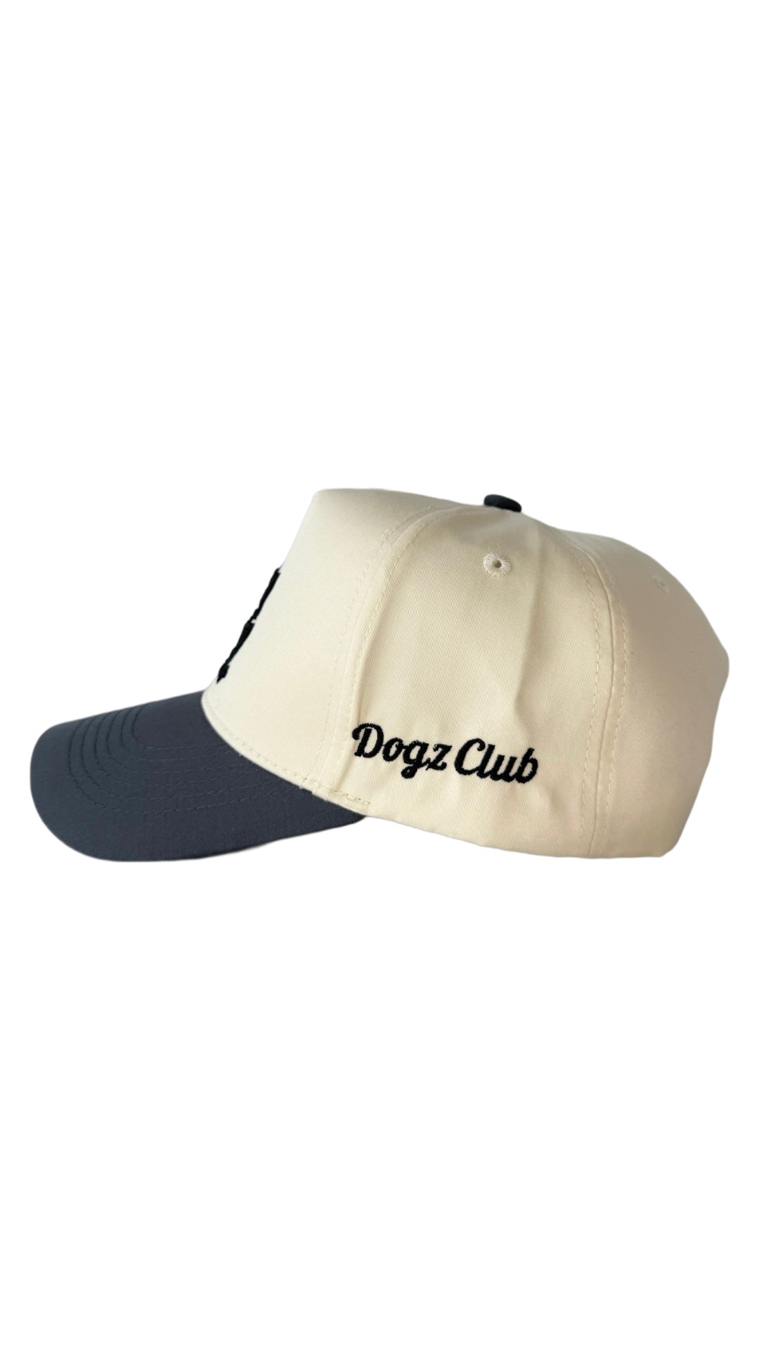 Dog Dad Hat - Gray