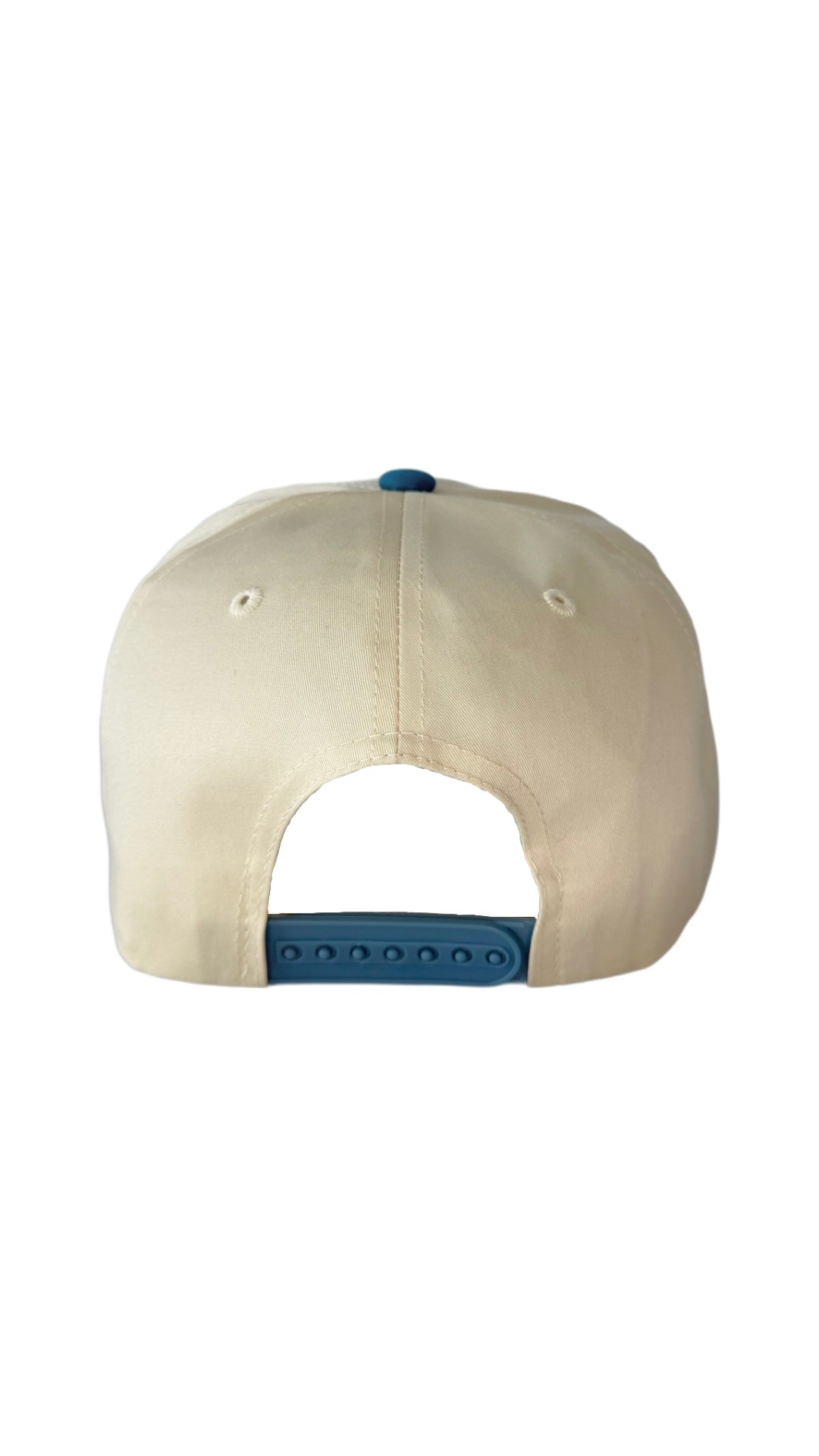 Dog Dad Hat - Light Blue