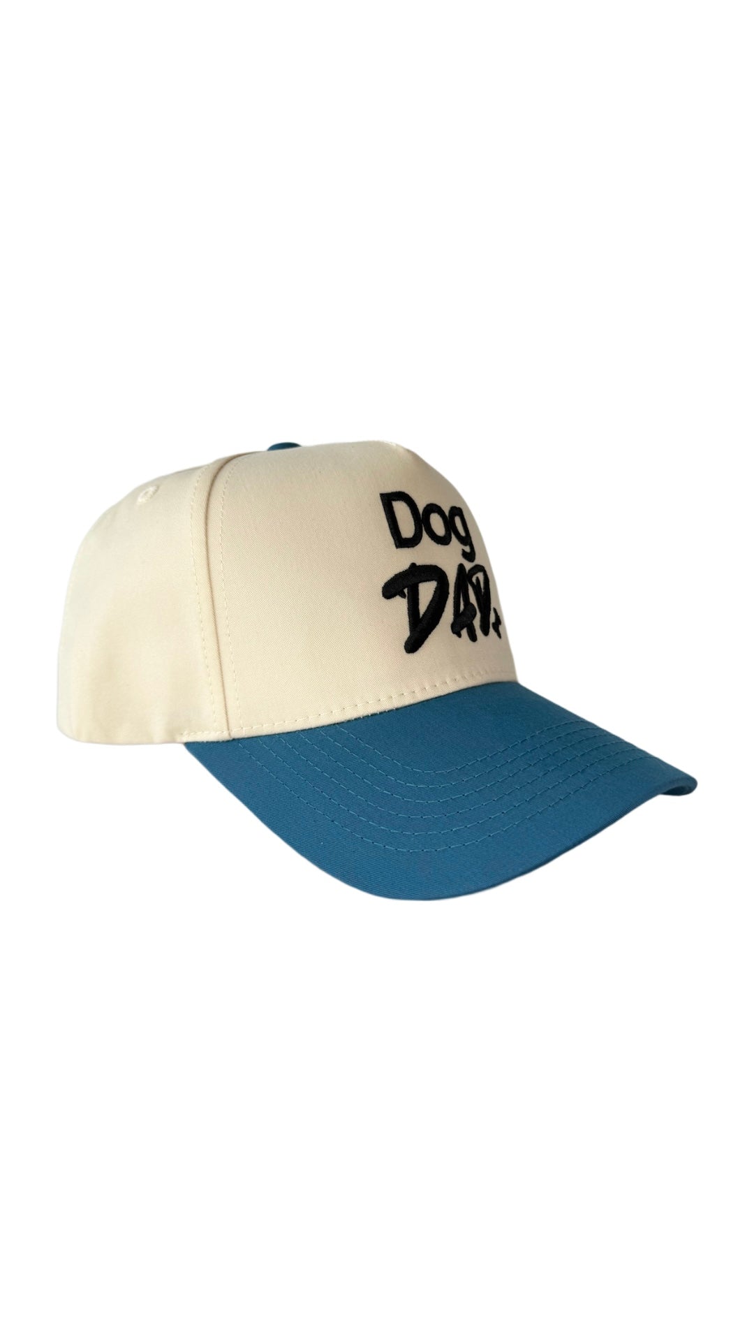 Dog Dad Hat - Light Blue