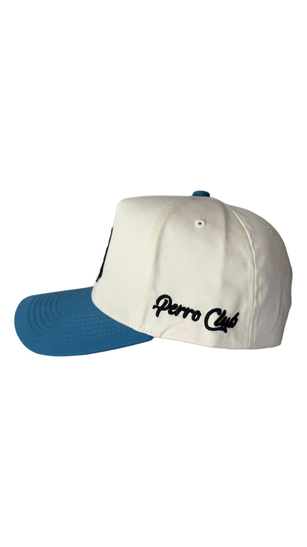 Dog Mom Hat - Light Blue