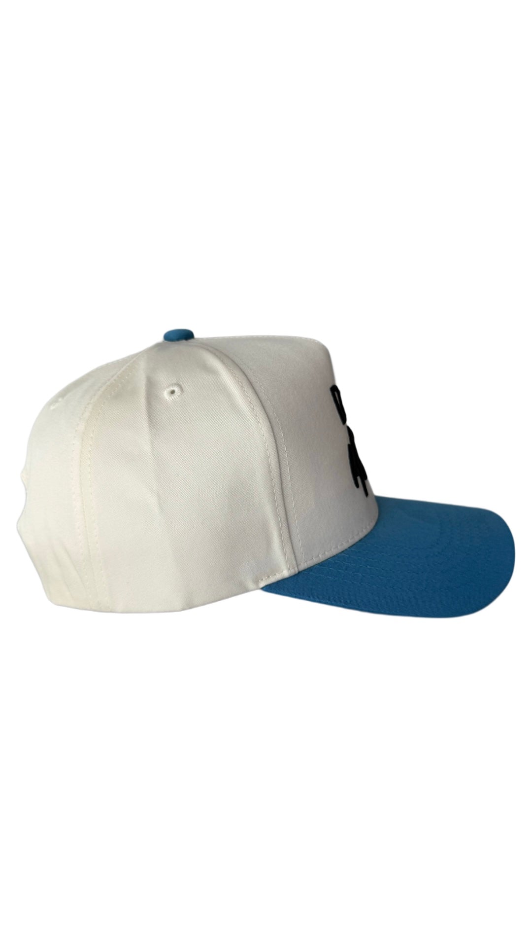 Dog Mom Hat - Light Blue
