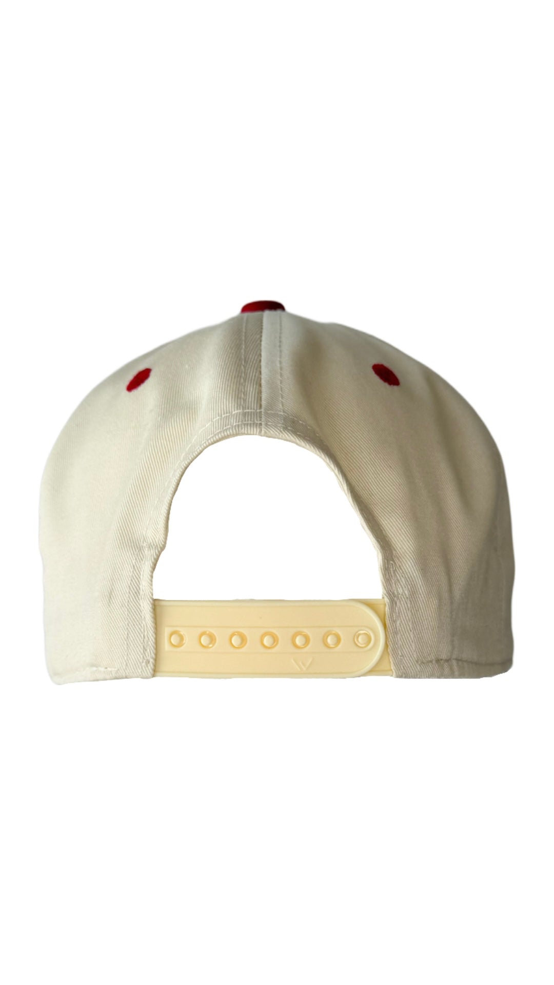 Dog Dad Hat - Red