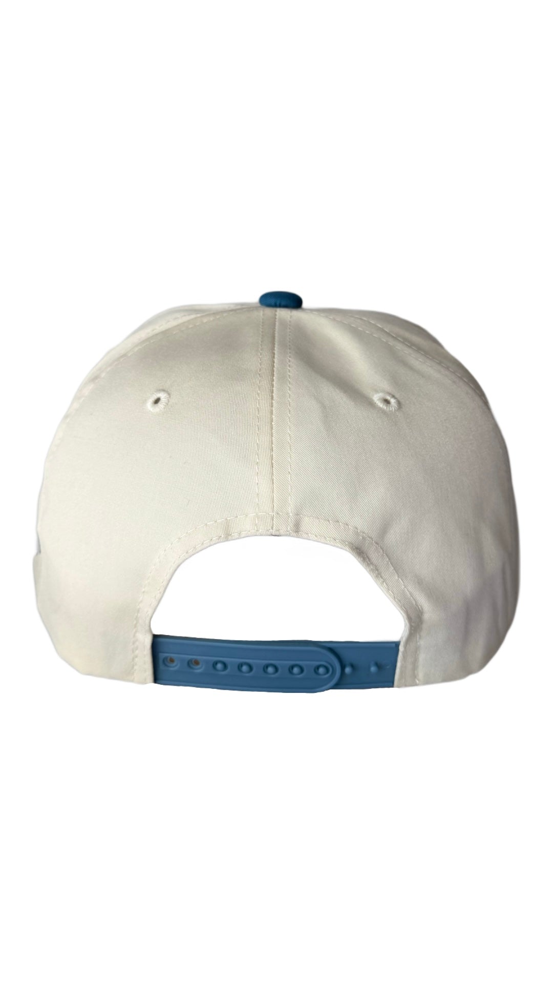 Dog Mom Hat - Light Blue